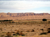 Tunisie-©P.-Mondielli